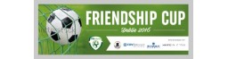 2017 Dublin Friendship Cup
