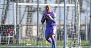 Evergreen and optimistic: David Barber on Brisbane, the women's game, and where to next