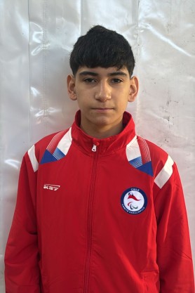 Bustos Andrade, Alejandro