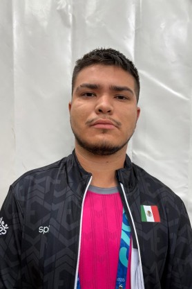 Alvarado Camarena, Diego