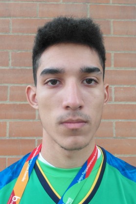 Teixeira Da Silva Junior, Vinicius